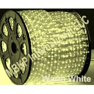   WHITE 12 V Volts DC LED Rope Lights Auto Lighting 5 Meters(16.4 Feet