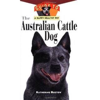 Australian Cattle Dog 101 Owning & Training Your future best 