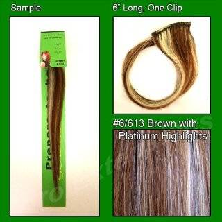 613 Brown with Platinum Highlights, 6 Inch Sample of Clip on in 