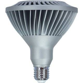  Philips AmbientLED Outdoor PAR38 LED Bulb
