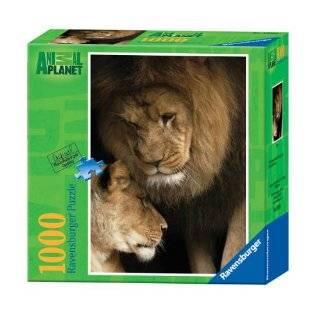  Lion and Baby 1000 Piece Puzzle Toys & Games