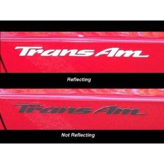  Trans Am Rear Panel Overlay Decal   93 02 Pontiac Firebird Trans Am 