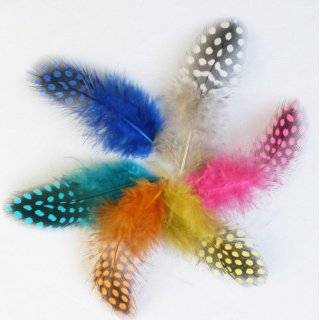 Pack of 100 Guinea Fowl Feathers Spotted Mixed 6 Colors