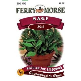 Ferry Morse Herb Seeds 1228 Basil   Lettuce Leaf 250 Milligram Packet