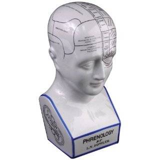 Ceramic Phrenology Head