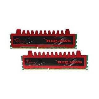 SKILL Ripjaws Series 4GB (2 x 2GB) 240 Pin DDR3 SDRAM DDR3 1600 (PC3 