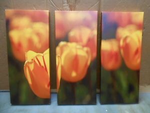 3 Piece Tulips on Fire Wall Art Set Flowers Canvas