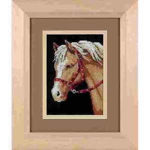 Counted Cross Stitch Kit Favorite Pony Horse