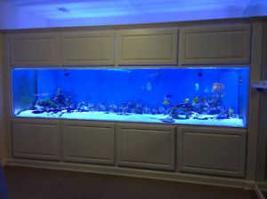 New 300 Gallon Acrylic Aquarium Fish Tank Factory Direct