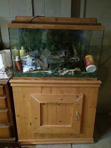 29 Gallon Aquarium and Hood with Stand and All The Needed Accessories Complete