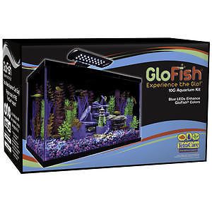Tetra Glofish® 10 Gallon Aquarium Kit