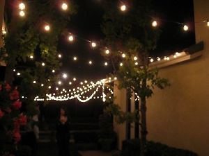 Globe String Lights 14 ft Party Lighting Indoor Outdoor Garden Patio Yard New