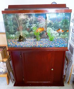 30 Gallon Fish Aquarium Fish Tank Stand Lighting Filter and Gravel