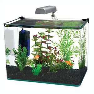 Radius 5 Gallon Corner Glass Aquarium Fish Tank Kit w LED Light Internal Filter