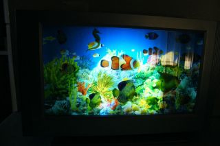Motion Fish Fake Aquarium Fish Tank Night Light Great for Kids Keeps Cats Busy