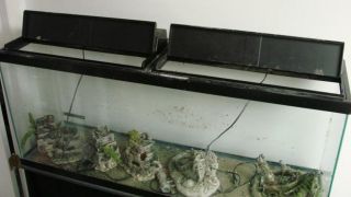 55 Gallon Fish Aquarium Black Wood Stand 2 Lights Double Door Base SHIP Wreck