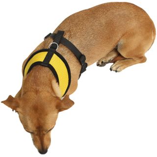 OxGord Pet Control Harness for Dog & Cat Soft Mesh Walk Collar Safety Strap Vest