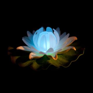 Floating Night Light Lotus Flower Colour Changing LED Lights