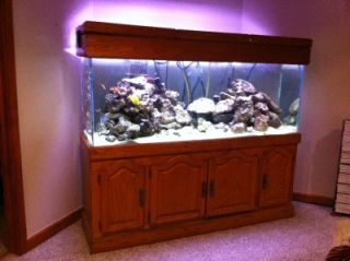 140 Gallon Saltwater Aquarium Fish Tank Live Rock Skimmer Fish EXTRAS