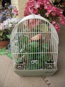 Vintage Decorative Bird Cage Retro Laviva Wire Plastic Bird Cage Home Decor