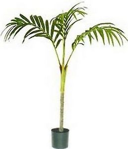 One 7 Foot Artificial Golden Palm Tree Potted Plant Home Decor Arrangement