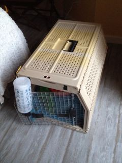 Large Pet Dog Crate Carrier Hard Shell Foldable Becomes Flat