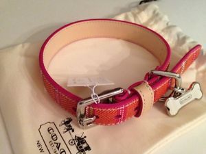 Coach Legacy Weekend Ticking Stripe Pet Dog Collar Pink Lime Small 64876
