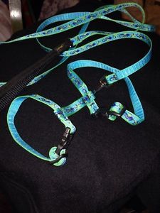 Small Dog Double Collar Plus Chest and Leash Male Female Blues Greens Seahorse