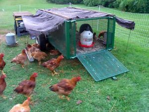 Portable Chicken Range Coop Backyard Tractor