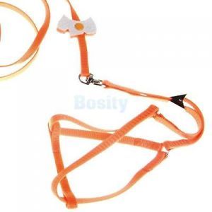 Pet Dog Puppy Collar Leash Lead Harness Adjustable Chest Strap Nylon Orange New