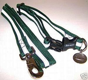 Old Navy Reflective Nylon Dog Collar and Leash Green Size 14" 23" Neck
