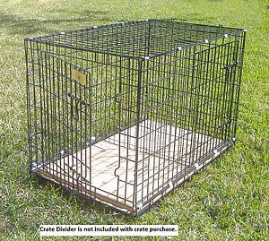 New Extra Large Folding Wire Dog Crate 42"x28"x32" Free Crate Cover Feet Pad