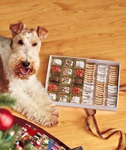 Dog Treats 75 PC Gourmet Doggie Treat Gift Box Christmas Decorate Gift Dog Food