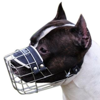 Basket Muzzle for Dog Size 12 Dachshund Poodle Male
