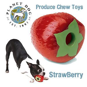Planet Dog Strawberry Orbee Tuff Produce Fruit Shaped Indestructible Dog Toy
