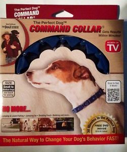 Small Dog Training Collar