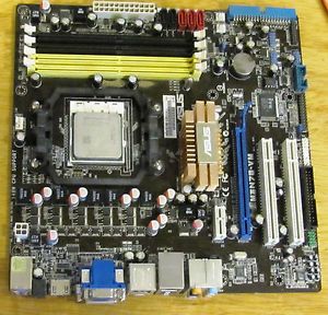 Asus Motherboard M3N7B VM and AMD Phenom II Processor
