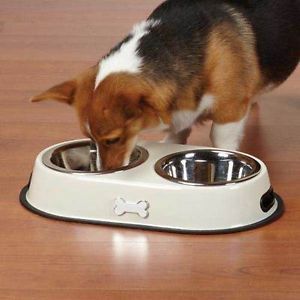 Metallic Bone Twin Pet Diners Dog Food Water Dish Set w Stainless Steel Bowls