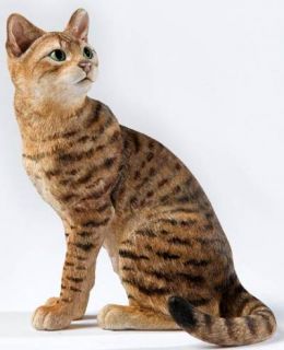 Country Artists Bengal Cat Sitting Free s H