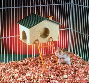 Penn Plax Hamster Cage
