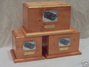 Large Memorial Pet Urn Dog Cat Cremation Wood Urns