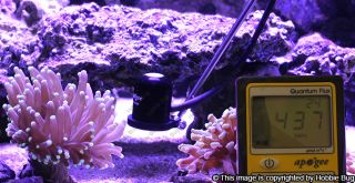 Programmable Timer LED Saltwater Aquarium Fish Tank Marine Coral Reef Grow Light