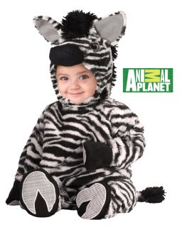 Zebra Madagascar Infant Baby Costume