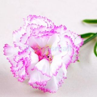 2X 6pcs Artificial Simulation Silk Carnation Flower Plant Wedding Party Decor