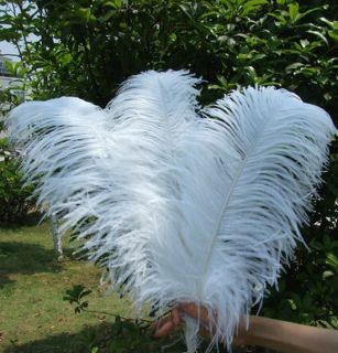 New 5pcs Wholesale White Quality Natural Ostrich Feathers 45 50cm Selection