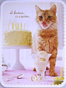 Orange Tabby Kitty Cat Kitten Birthday Cake Candles Ice Cream Greeting Card New