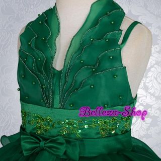 Green Wedding Flower Girl Pageant Dress Sz 3 4T FG131