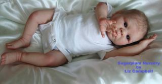 Sugarplum Nursery Reborn Baby Doll Kinsey by Denise Pratt Low Start 