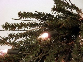 6' Pre Lit Slim Vienna Twig Artificial Christmas Tree Clear Lights