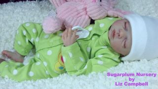 Sugarplum Nursery Reborn Baby Doll Amiah by Melody Hess Ltd Ed 20 400 No RSV